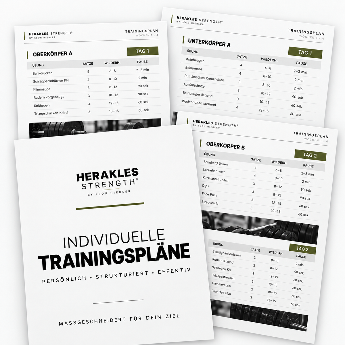 Individueller Trainingsplan